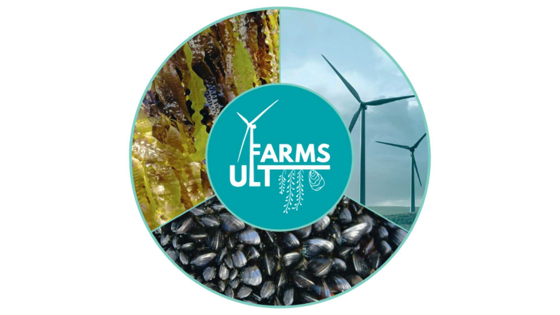 Join The Upcoming UNITED´s follow-up project - ULTFARMS Associate Regions Webinar