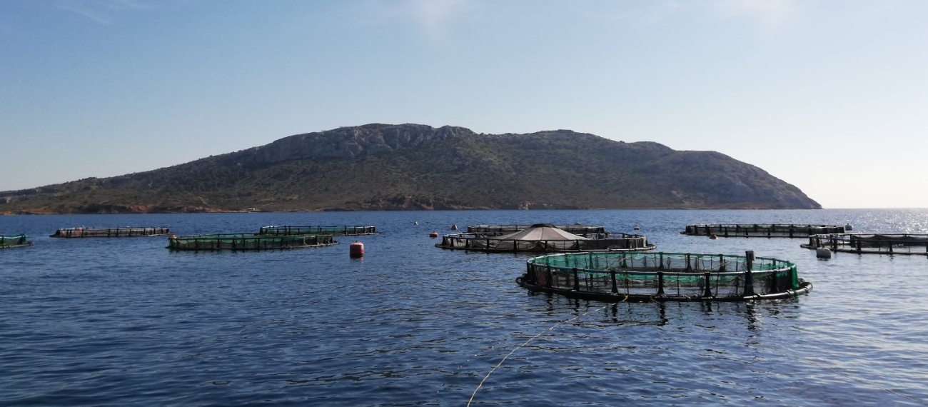Greek pilots completes the rolling up of underwater sensors to link aquaculture & tourism